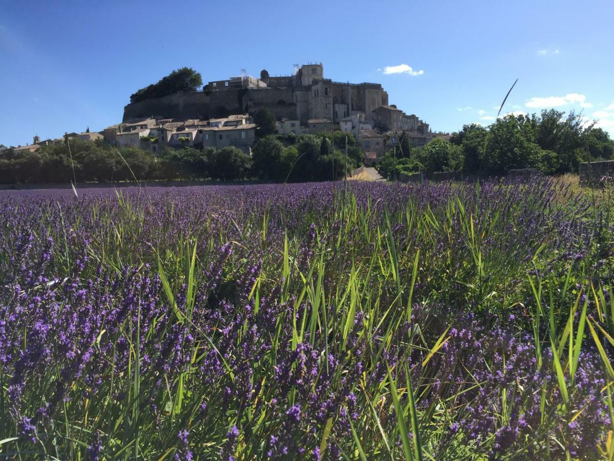 La Vie De Chateau Grignan Buitenkant foto